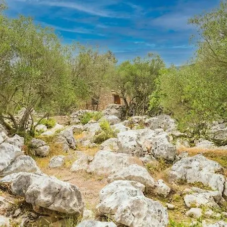 Charming Hacienda With Private Beachfront Lejlighed Brijesta